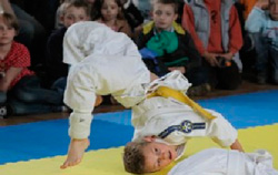 zajęcia judo